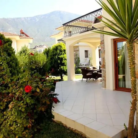 Mountain View No 9